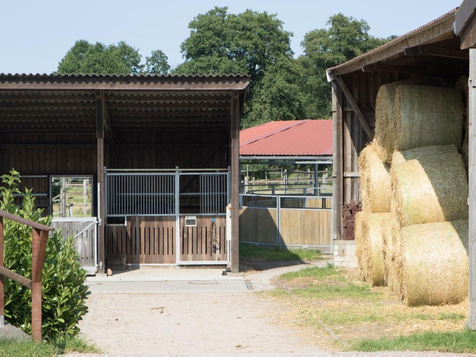 Cozy Holiday Home On A Horse Farm In The L Neburg Heath Eschede Exterior foto